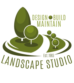 Logo de l'entreprise pour le site web